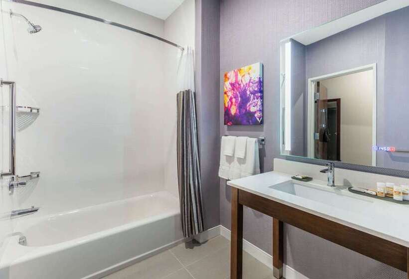 酒店 La Quinta Inn & Suites By Wyndham Lewisville