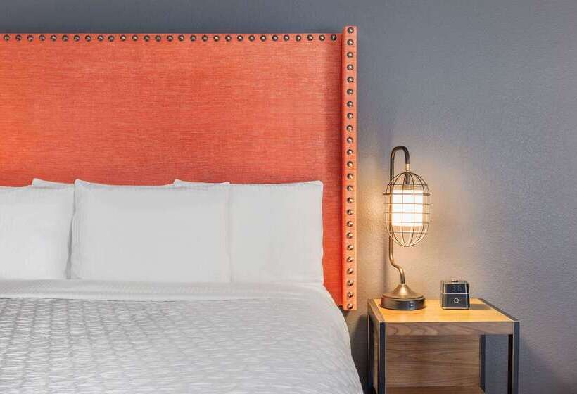 酒店 La Quinta Inn & Suites By Wyndham Lewisville