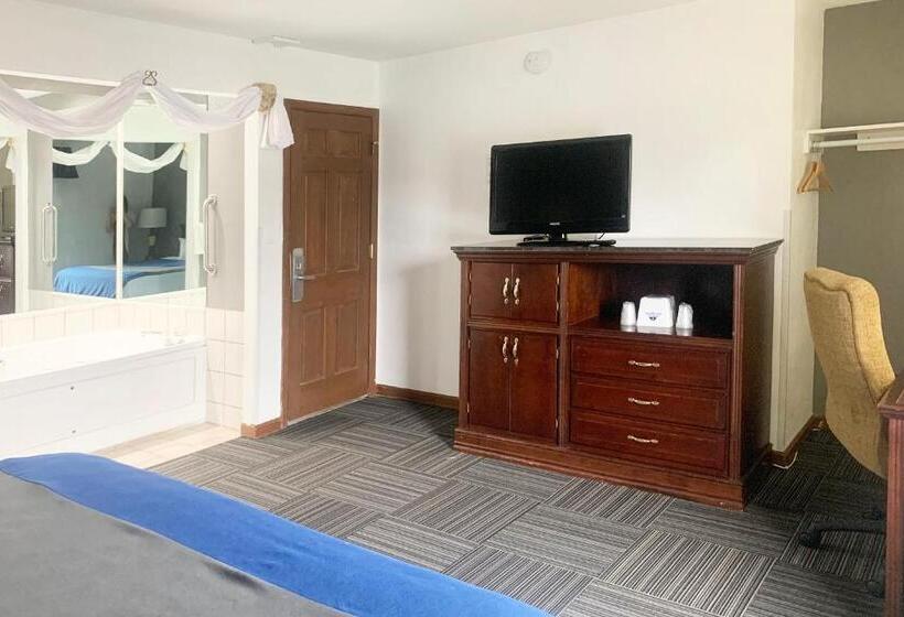 فندق Lakeview Inn