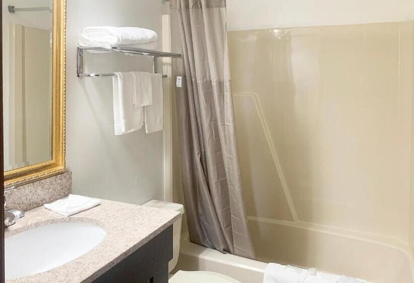 فندق Lakeview Inn