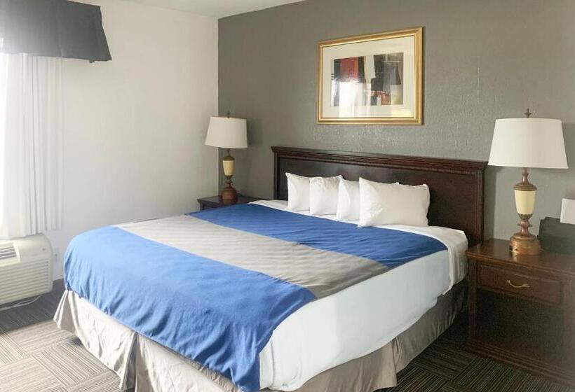 فندق Lakeview Inn