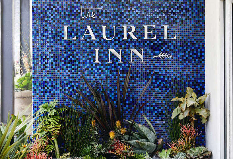 호텔 The Laurel Inn, Part Of Jdv By Hyatt