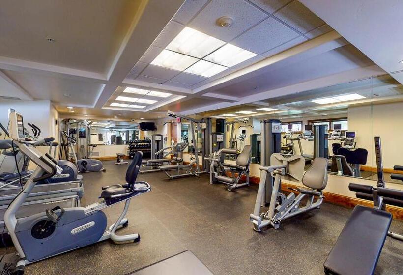 בית מלון כפרי Lion Square Lodge