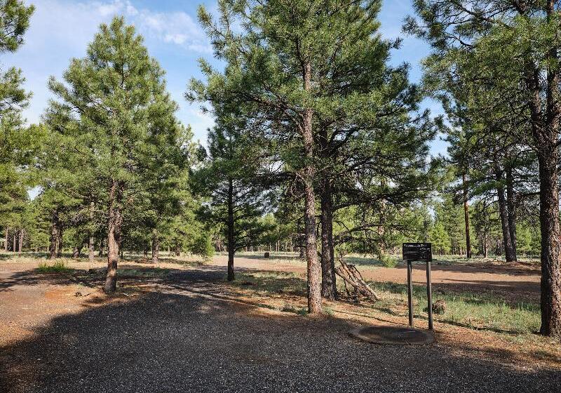 Little America Hotel Flagstaff