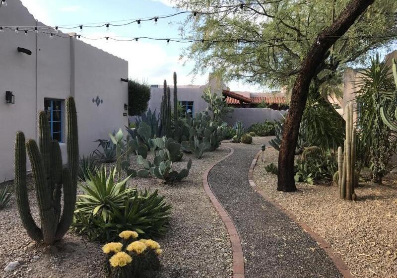 בית מלון כפרי Lodge On The Desert