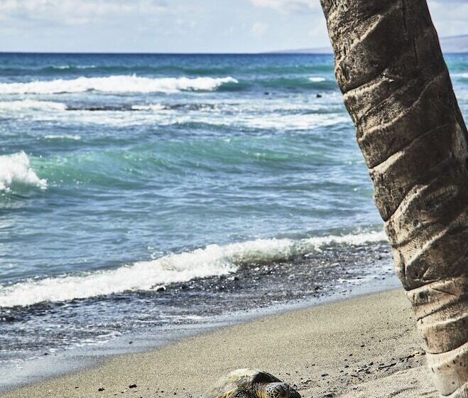 בית מלון כפרי Mauna Lani, Auberge Resorts Collection