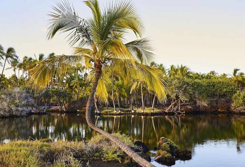 בית מלון כפרי Mauna Lani, Auberge Resorts Collection