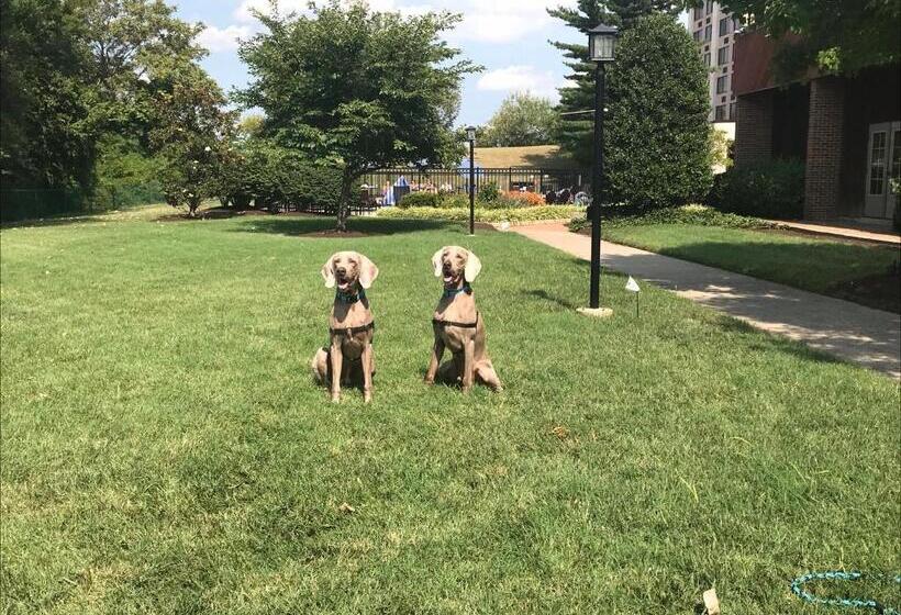 هتل Millennium Maxwell House Nashville