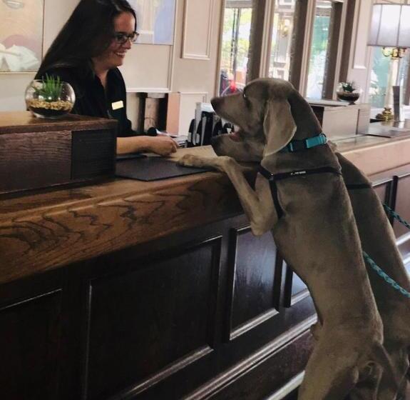 هتل Millennium Maxwell House Nashville