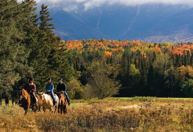 호텔 Omni Mount Washington Resort & Spa