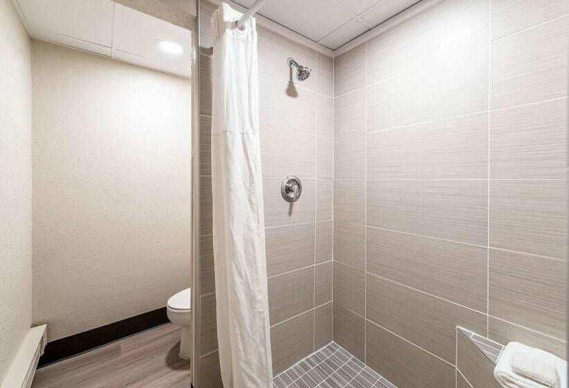 فندق Quality Inn Bradley Bourbonnais