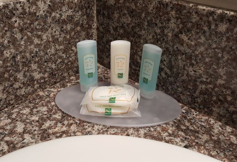 酒店 Quality Inn Escondido Downtown