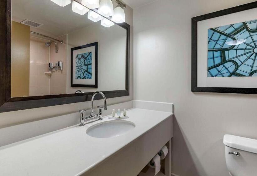 酒店 Quality Inn Lexington Horse Park