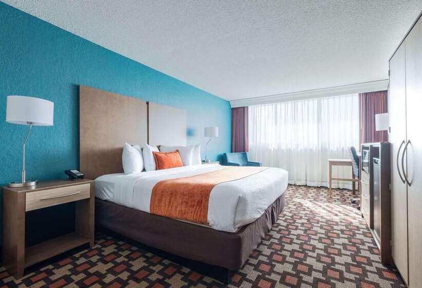 Radisson Hotel St Paul Downtown