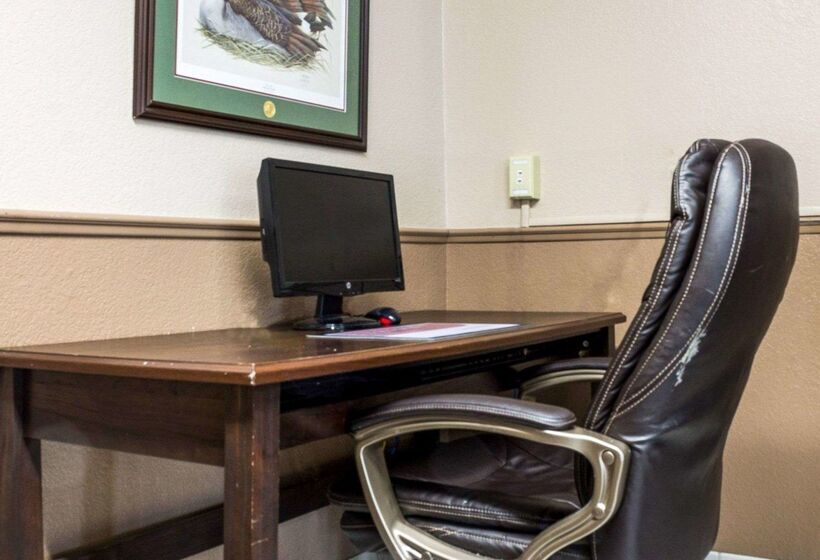 酒店 Bison Inn & Suites On University