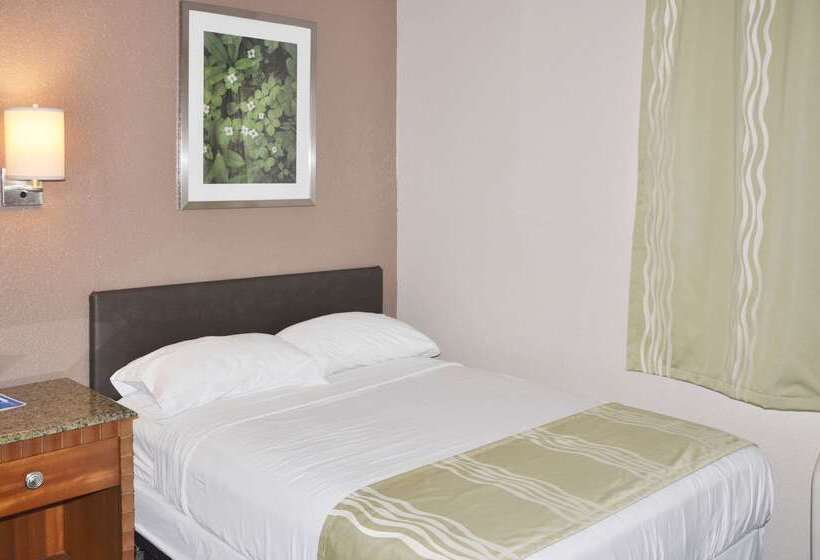 酒店 Bison Inn & Suites On University