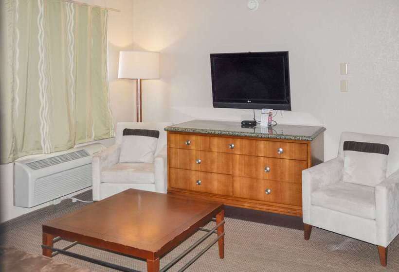 酒店 Bison Inn & Suites On University