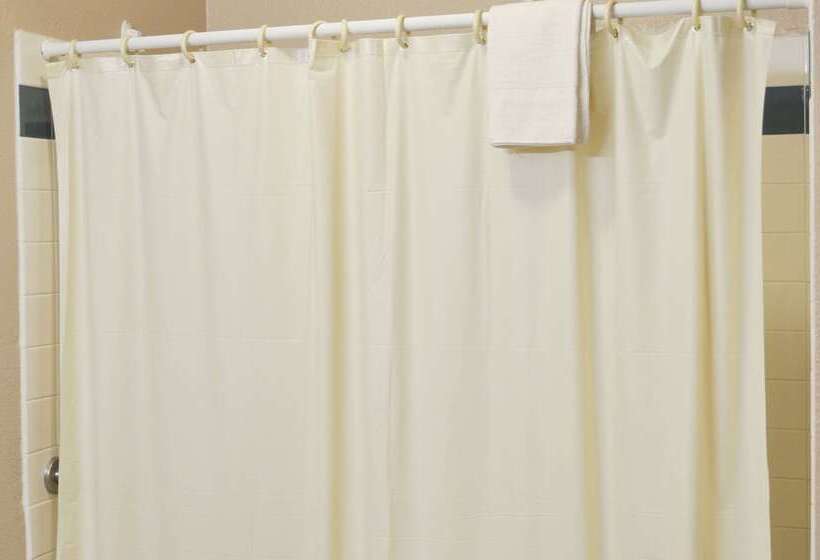 酒店 Bison Inn & Suites On University