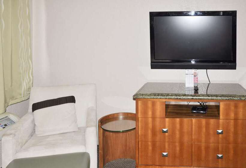 酒店 Bison Inn & Suites On University