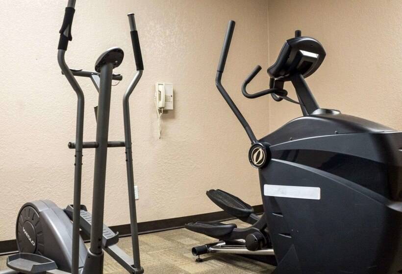 酒店 Bison Inn & Suites On University