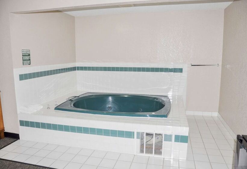 酒店 Bison Inn & Suites On University