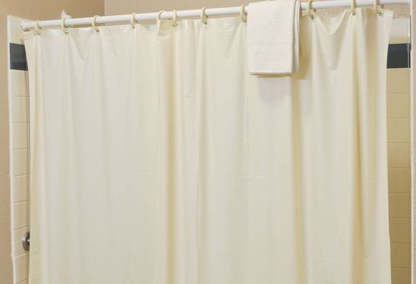 酒店 Bison Inn & Suites On University