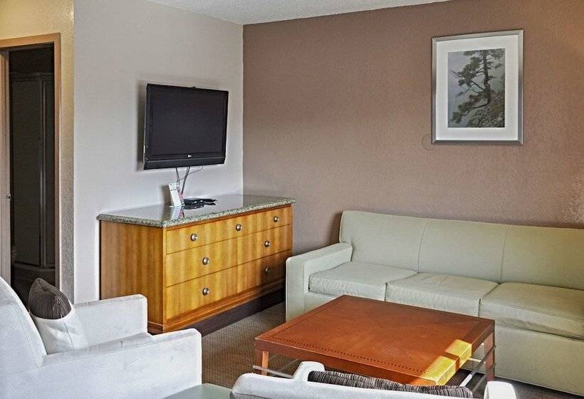 酒店 Bison Inn & Suites On University