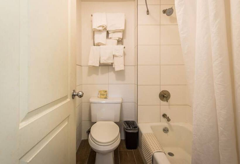 فندق Soma Park Inn