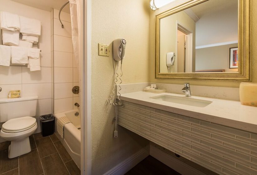 فندق Soma Park Inn