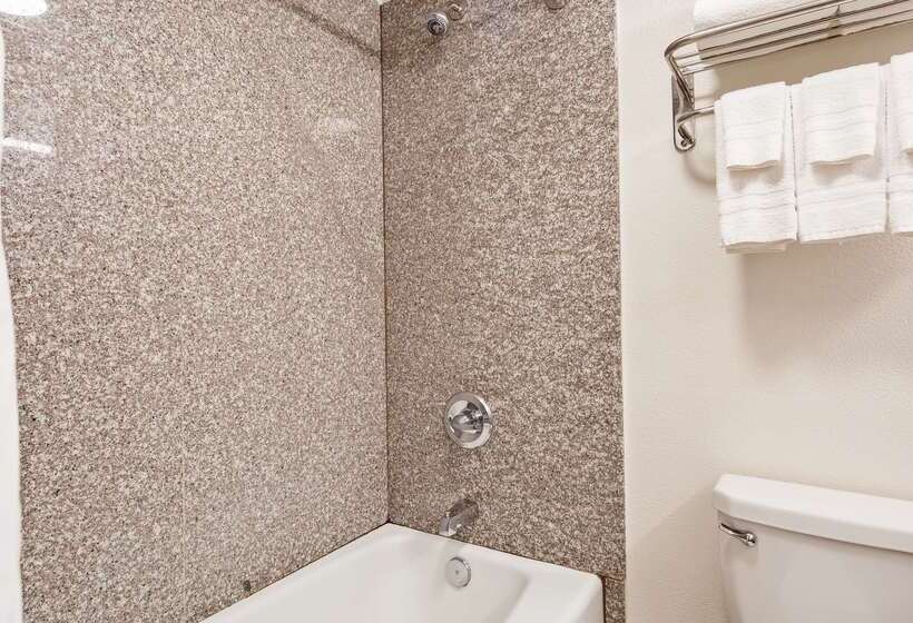 Surestay Plus Hotel By Best Western Lubbock Medical Center