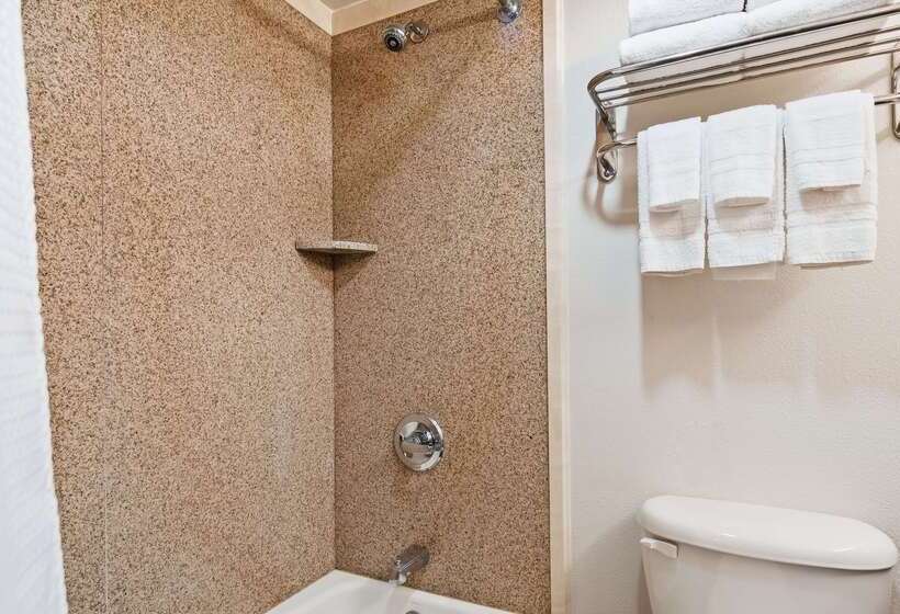 Surestay Plus Hotel By Best Western Lubbock Medical Center