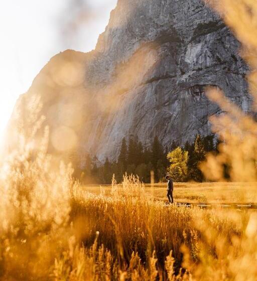 호텔 Tenaya At Yosemite