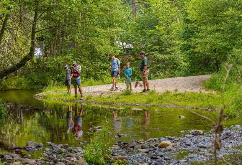 호텔 Tenaya At Yosemite