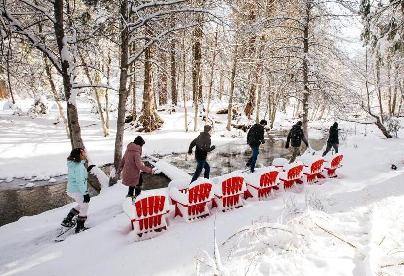 호텔 Tenaya At Yosemite