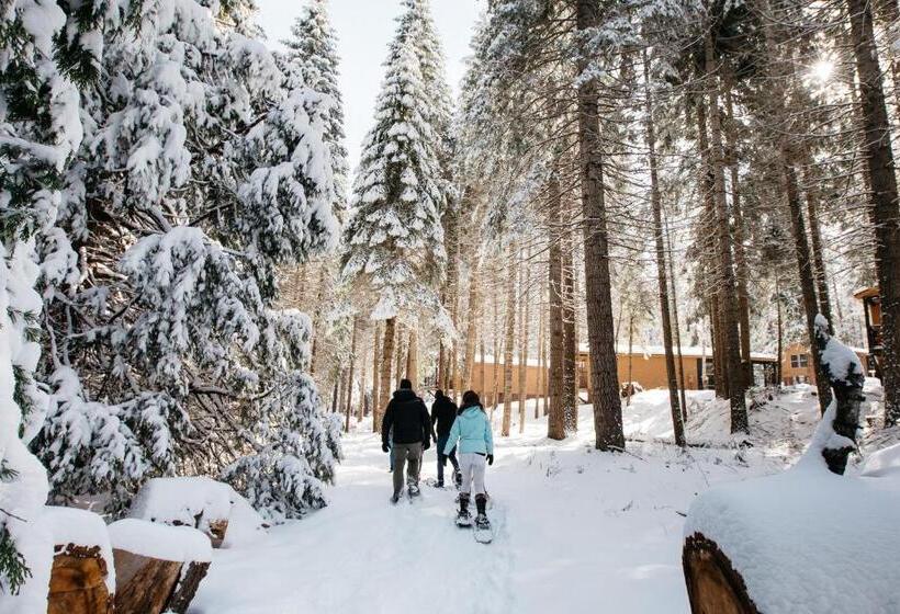 호텔 Tenaya At Yosemite