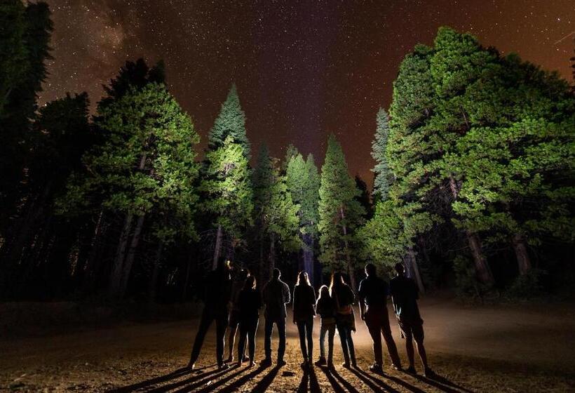 호텔 Tenaya At Yosemite