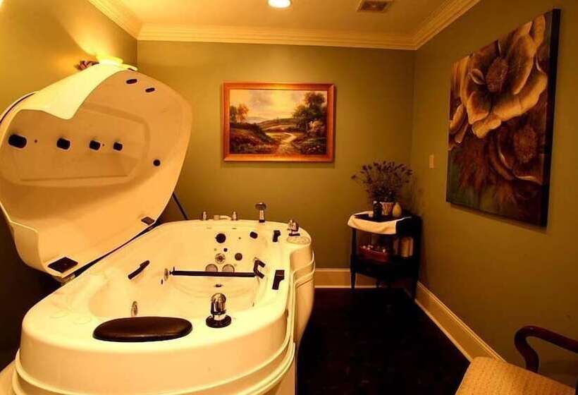 فندق The Martha Washington Inn And Spa