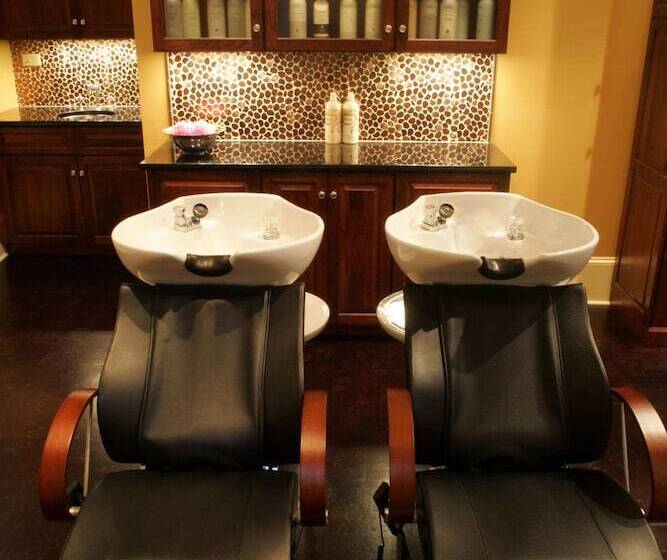 فندق The Martha Washington Inn And Spa