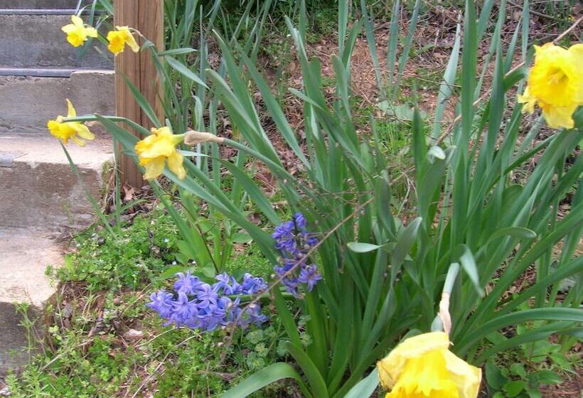 فندق The Mountaineer Inn