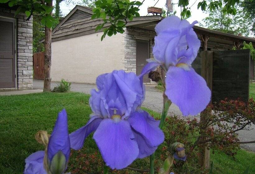 Отель The Mountaineer Inn