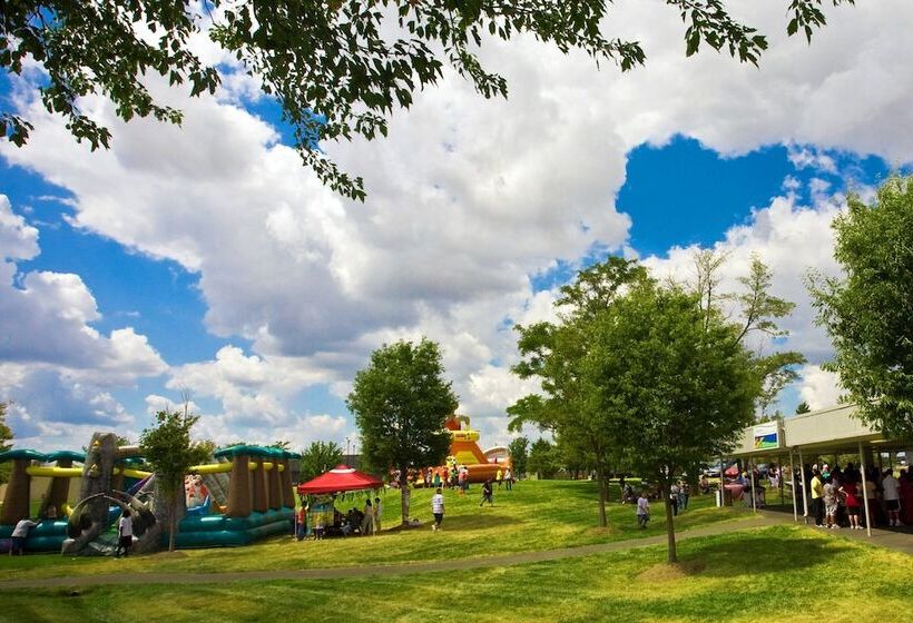 Отель Washington Dulles Airport Marriott