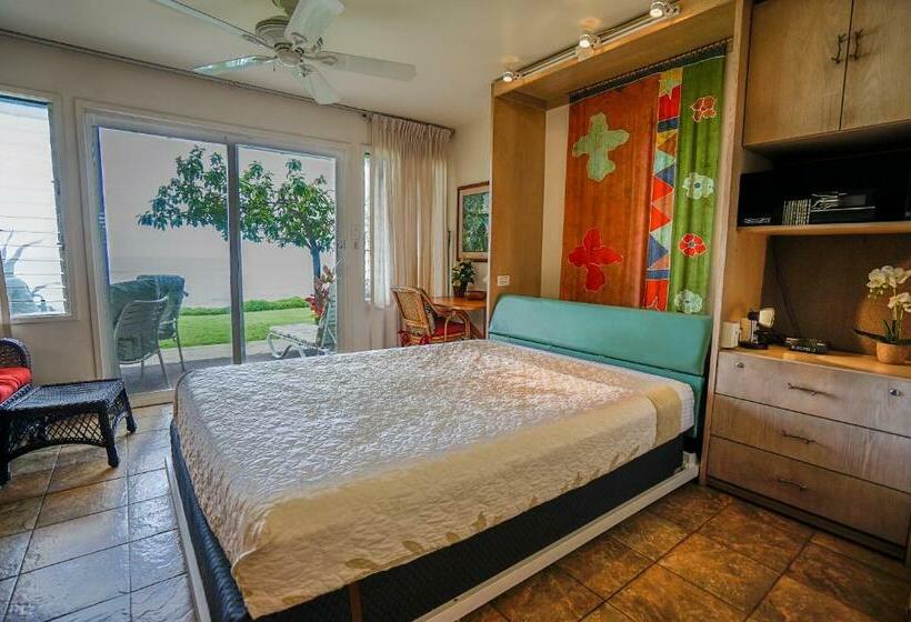 Kapa A Sands #10 Direct Oceanfront Studio Kauai