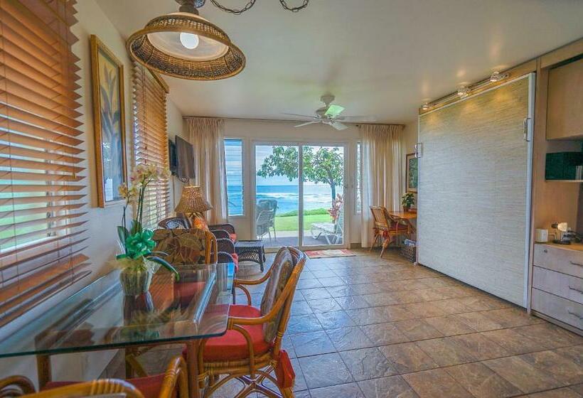 Kapa A Sands #10 Direct Oceanfront Studio Kauai