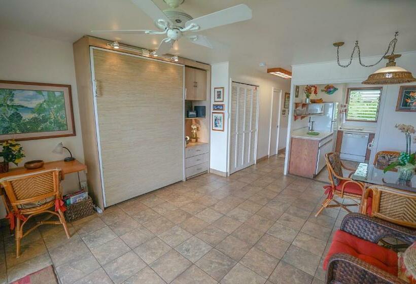Kapa A Sands #10 Direct Oceanfront Studio Kauai