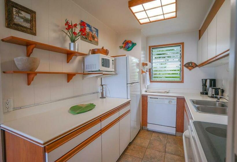 Kapa A Sands #10 Direct Oceanfront Studio Kauai