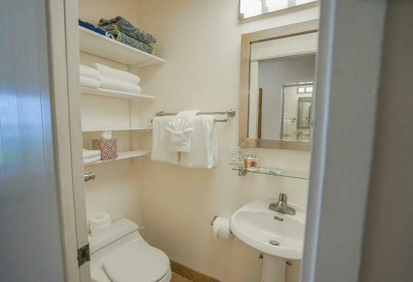 Kapa A Sands #10 Direct Oceanfront Studio Kauai