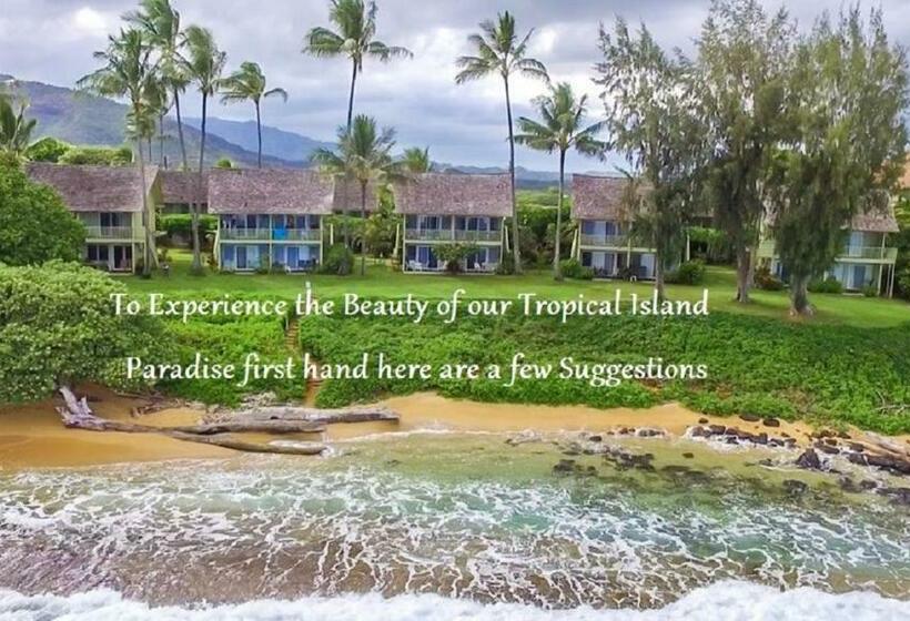 Kapa A Sands #10 Direct Oceanfront Studio Kauai