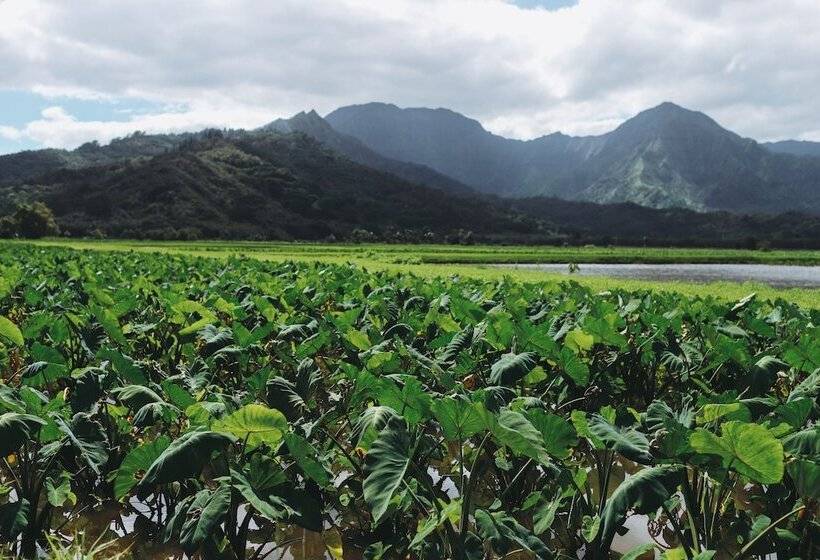 Outrigger Kauaʻi Beach Resort & Spa