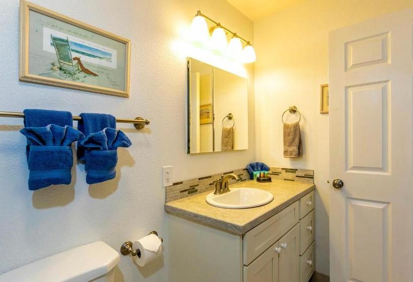 Kihei Bay Vista #d202