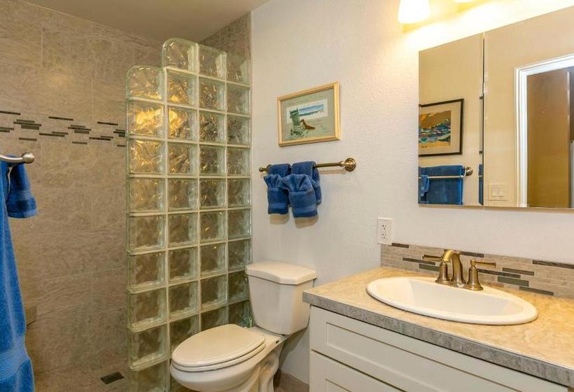 Kihei Bay Vista #d202